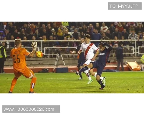 西甲联赛球员穿着的球鞋品牌